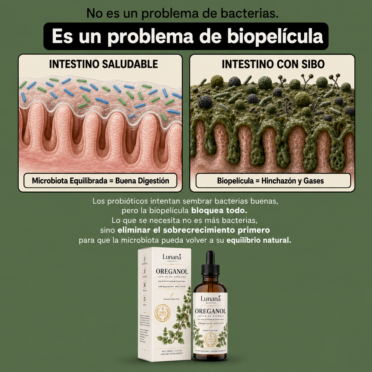 Lunaná Organics - Suplemento en gotas para hinchazón crónica y salud digestiva.